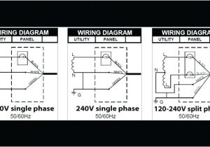 Msd 3 Step Wiring Diagram Msd 3 Step Wiring Diagram Wiring Diagram Technic