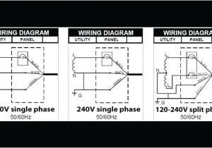 Msd 3 Step Wiring Diagram Msd 3 Step Wiring Diagram Wiring Diagram Technic