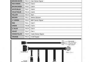 Msd 6ls Wiring Diagram Msd 6ls Wiring Diagram My Wiring Diagram