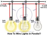 Multiple Light Fixture Wiring Diagram Wiring A Light Fixture with Multiple Bulbs Data Wiring Diagram Preview