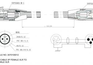 Multiple Outlet Wiring Diagram Circle W Trailer Wiring Diagram Wiring Diagram
