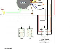 N14 Celect Plus Wiring Diagram T9 Wiring Diagram Wiring Diagram Name