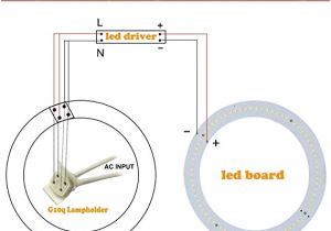 N14 Celect Plus Wiring Diagram T9 Wiring Diagram Wiring Diagram Name