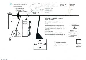 Narva Flasher Wiring Diagram 30amp Relay Wiring Diagram Amp 5 Pin Relay Wiring Diagram New Horn