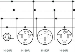Nema 14 30r Wiring Diagram Nema 6 15 Receptacle Wiring Diagram Wiring Diagram