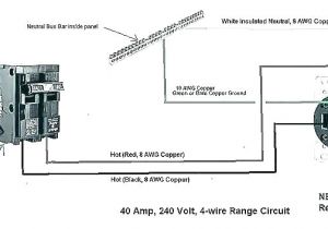 Nema 14 50 Wiring Diagram Nema 10 50 Wiring Diagram Wiring Diagram Article Review