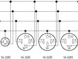 Nema L5 20r Wiring Diagram Nema Plug Diagram Wiring Diagram Database Blog