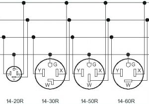 Nema L5 20r Wiring Diagram Nema Plug Diagram Wiring Diagram Database Blog Nema L5 20r Wiring Diagram Nema Plug Diagram Wiring Diagram Database Blog