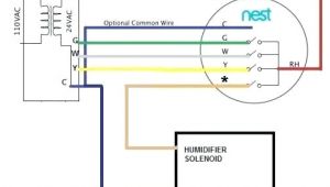 Nest Humidifier Wiring Diagram Nest thermostat Humidity Cartin Co