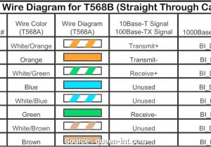 Network Cable Wiring Diagram Wiring Ethernet socket Diagram Cleaver Ethernet Wall socket Wiring