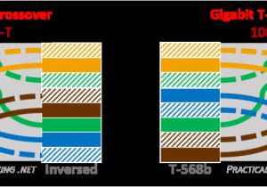 Network Crossover Cable Wiring Diagram Gigabit Wiring Diagram Wiring Diagram Inside