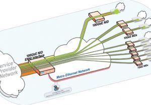 Network Interface Device Wiring Diagram 100g Network Interface Device 9145e100g
