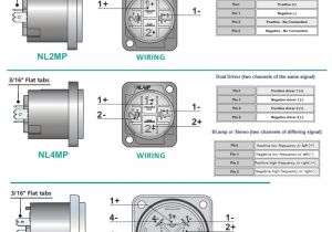 Neutrik Xlr Wiring Diagram Wiring Speakon Connectors Wds Wiring Diagram Database Neutrik Xlr Wiring Diagram Wiring Speakon Connectors Wds Wiring Diagram Database
