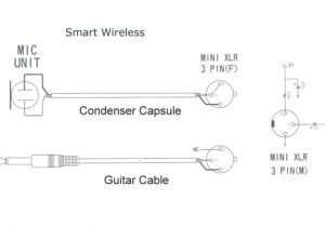 Neutrik Xlr Wiring Diagram Wiring Speakon Connectors Wds Wiring Diagram Database Neutrik Xlr Wiring Diagram Wiring Speakon Connectors Wds Wiring Diagram Database
