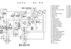 New Racing Cdi Tzr 50 Wiring Diagram Wiring Diagram Yamaha Tzr 50 Blog Wiring Diagram