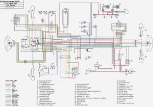 New Racing Cdi Tzr 50 Wiring Diagram Wiring Diagram Yamaha Tzr 50 Blog Wiring Diagram