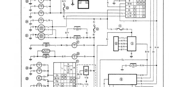 New Racing Cdi Tzr 50 Wiring Diagram Wiring Diagram Yamaha Tzr 50 Blog Wiring Diagram