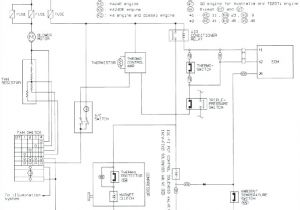 Nissan Navara Wiring Diagram D40 Wiring Diagram Nissan D22 Data Schematic Diagram