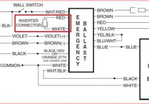 Non Maintained Emergency Lighting Wiring Diagram Battery Ballast Wiring Diagram Schema Wiring Diagram Preview