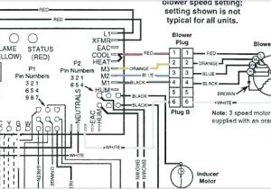 Nordyne Heat Pump Wiring Diagram Gibson Heat Pump Wiring Diagram Blog Wiring Diagram Nordyne Heat Pump Wiring Diagram Gibson Heat Pump Wiring Diagram Blog Wiring Diagram