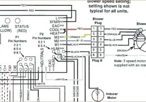 Nordyne Wiring Diagram Air Handler Tappan Heat Pump Wiring Diagram Wiring Diagram Insider