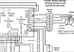 Nordyne Wiring Diagram Electric Furnace Heat nordyne Diagram Wiring Pump Modlegqf090100324 Electrical Nordyne Wiring Diagram Electric Furnace Heat nordyne Diagram Wiring Pump Modlegqf090100324 Electrical