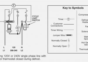 Norlake Walk In Freezer Wiring Diagram Five Lessons that Will Teach You All You Diagram Information