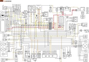 Nx 650 Wiring Diagram Ktm 200 Wiring Diagram Wiring Diagram Page Nx 650 Wiring Diagram Ktm 200 Wiring Diagram Wiring Diagram Page