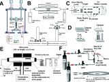On Q Wiring Diagram Function Driven Engineering Of 1d Carbon Nanotubes and 0d Carbon