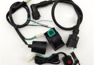 Orion Pit Bike Wiring Diagram Thumpstar Parts Accessories Ebay Orion Pit Bike Wiring Diagram Thumpstar Parts Accessories Ebay