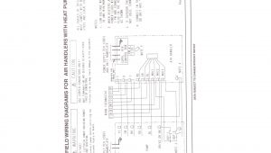Outdoor Speaker Wiring Diagram Home Speaker Diagram Wiring Diagram Database