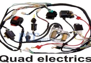 Panther 110 atv Wiring Diagram atv 110 Wiring Diagram Wiring Diagram Technic Panther 110 atv Wiring Diagram atv 110 Wiring Diagram Wiring Diagram Technic