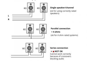 Parallel Speaker Wiring Diagram 2 Speaker Wiring Diagram Wiring Diagram for You