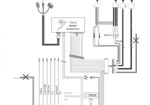 Parrot Ck3100 Wiring Diagram Parrot Ck3100 Wiring Diagram Bcberhampur org