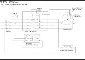 Part Winding Start Compressor Wiring Diagram Bitzer Compressor Wiring Diagram Screw Part Winding Start Semi