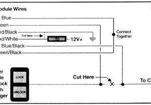 Passtime Elite Gps Wiring Diagram Code Alarm Wiring Diagram for Gold Wiring Diagram Show