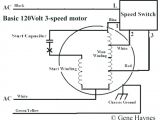Patton Fan Wiring Diagram Fasco Furnace Motor Wiring Diagrams Wiring Diagram