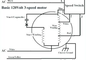 Patton Fan Wiring Diagram Fasco Furnace Motor Wiring Diagrams Wiring Diagram Patton Fan Wiring Diagram Fasco Furnace Motor Wiring Diagrams Wiring Diagram