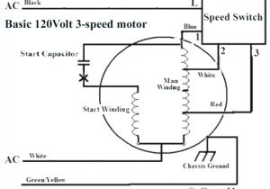 Patton Fan Wiring Diagram Fasco Furnace Motor Wiring Diagrams Wiring Diagram