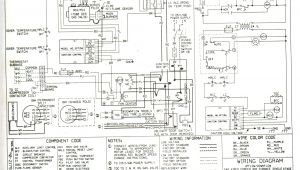 Payne Furnace Wiring Diagram thermostat Wiring Payne Gas Furance Wiring Diagram Data
