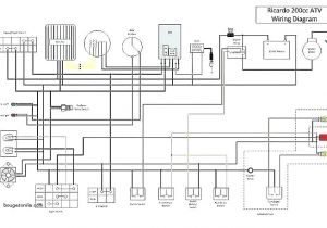 Peace Sports atv Wiring Diagram Arctic Cat 50cc atv Wiring Diagram Wiring Diagram Center Peace Sports atv Wiring Diagram Arctic Cat 50cc atv Wiring Diagram Wiring Diagram Center