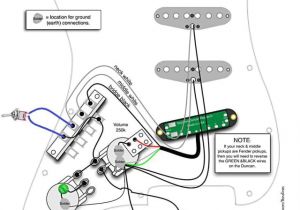Peavey T-60 Wiring Diagram Split Hum Gilmour Mod Electric Guitar Wiring Modifications