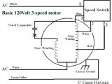 Pedestal Fan Motor Wiring Diagram Wiring Diagram for A Pedestal Fan Electrical Engineering Wiring