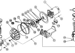 Pentair Challenger Pump Wiring Diagram Pentair Challenger High Flow Pump Parts Pentair Challenger Pump Wiring Diagram Pentair Challenger High Flow Pump Parts