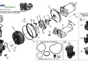 Pentair Challenger Pump Wiring Diagram Pentair Challenger Replacement Pool Pump Parts Pentair Challenger Pump Wiring Diagram Pentair Challenger Replacement Pool Pump Parts