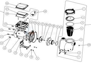 Pentair Intelliflo Wiring Diagram Pentair Intelliflo 2 Vst Variable Speed Pump Parts Inyopools Com Pentair Intelliflo Wiring Diagram Pentair Intelliflo 2 Vst Variable Speed Pump Parts Inyopools Com