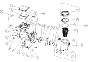 Pentair Intelliflo Wiring Diagram Pentair Intelliflo I1 Vs Pump 1hp 230v wholesale Pool Equipment Pentair Intelliflo Wiring Diagram Pentair Intelliflo I1 Vs Pump 1hp 230v wholesale Pool Equipment