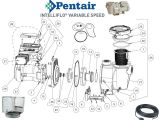 Pentair Intelliflo Wiring Diagram Pentair Intelliflo Pump Parts Pool Plaza