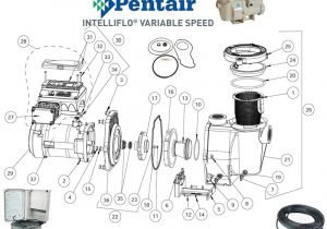 Pentair Intelliflo Wiring Diagram Pentair Intelliflo Pump Parts Pool Plaza Pentair Intelliflo Wiring Diagram Pentair Intelliflo Pump Parts Pool Plaza