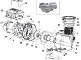 Pentair Intelliflo Wiring Diagram Pentair Intelliflo Vf Parts Inyopools Com
